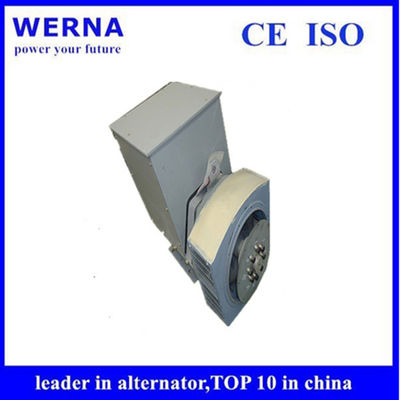 কেনা Three-Phase Induction Generators Low THF and Copper Winding Material for Sustainable Power Generation online manufacture