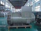 MX341+PMG Three Phase Brushless Alternator Self - Excited 80KW 2/3 Pitch