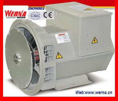 220V ব্রাশহীন এসি জেনারেটর IP21 সুরক্ষা গ্রেড টেকসই নির্মাণ