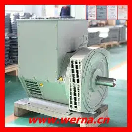 আইসোলেশন ক্লাস H নামমাত্র ভোল্টেজ 220V একক ফেজ এসি জেনারেটর