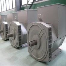 এইচ ক্লাস 10-1000 KW 3 ফেজ ব্রাশহীন এসি জেনারেটর প্রিমিয়াম