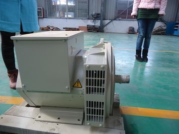 Self-excited Double Bearing Alternator Brushless Generator 200kw / 250kva