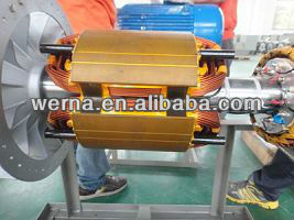 ১০০% কপার ওয়াইন্ডিং আইসোলেশন ক্লাস এইচ এবং স্ট্যামফোর্ড টাইপ মাউন্টিং সহ থ্রি ফেজ ব্রাশলেস অ্যালটারনেটর